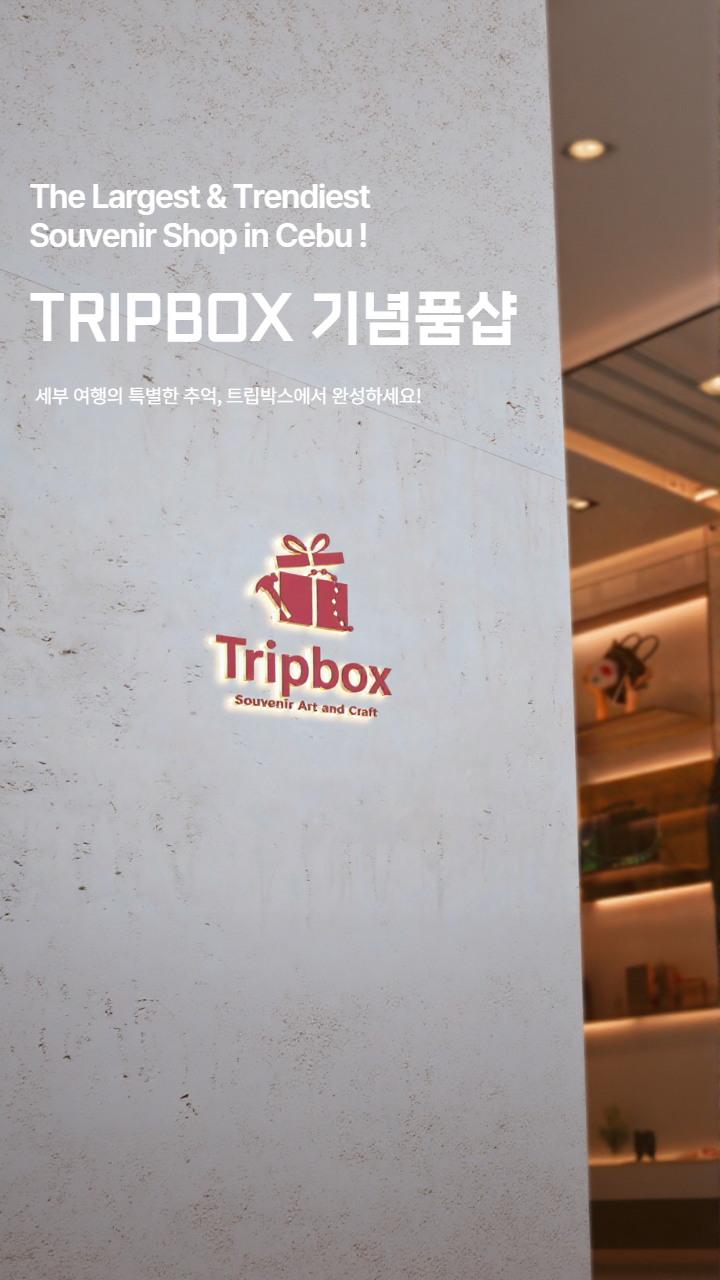 배경 이미지